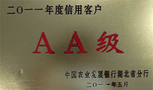 2011������ÿ͑�(h��)AA��(j��)